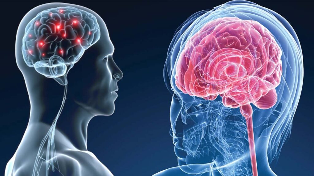 Il nostro cervello che non riposa mai. Che anticipa e fa il “veggente”…
